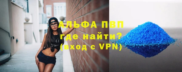 шишки Арсеньев