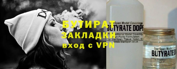 шишки Арсеньев
