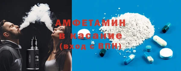 шишки Арсеньев