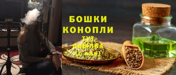 шишки Арсеньев