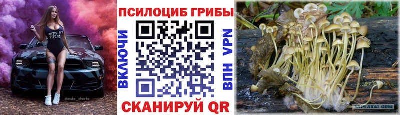 закладка  Сальск  гидра рабочий сайт  Псилоцибиновые грибы мухоморы 